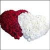 LOVE ME - Click here to View more details about this Product